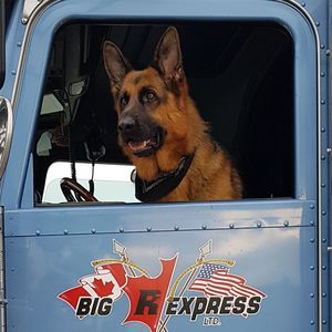 Meet your Posher, Lyne